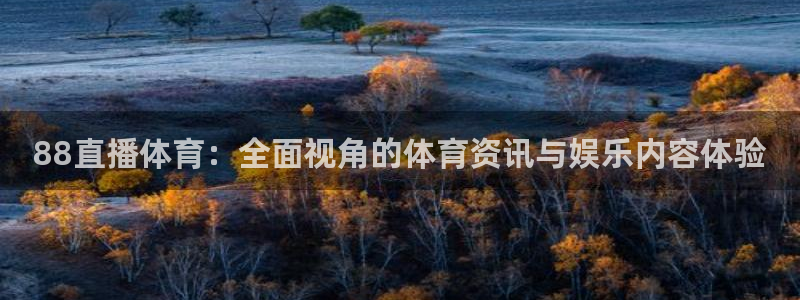 88直播体育：全面视角的体育资讯与娱乐内容体验