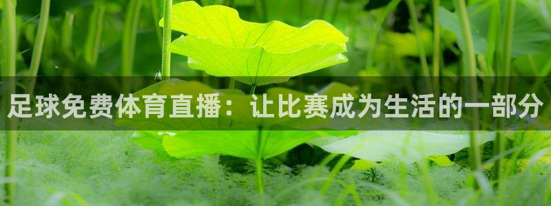足球免费体育直播：让比赛成为生活的一部分