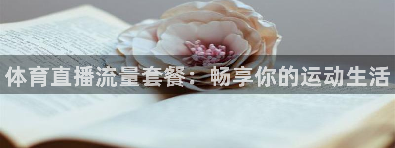 体育直播流量套餐：畅享你的运动生活